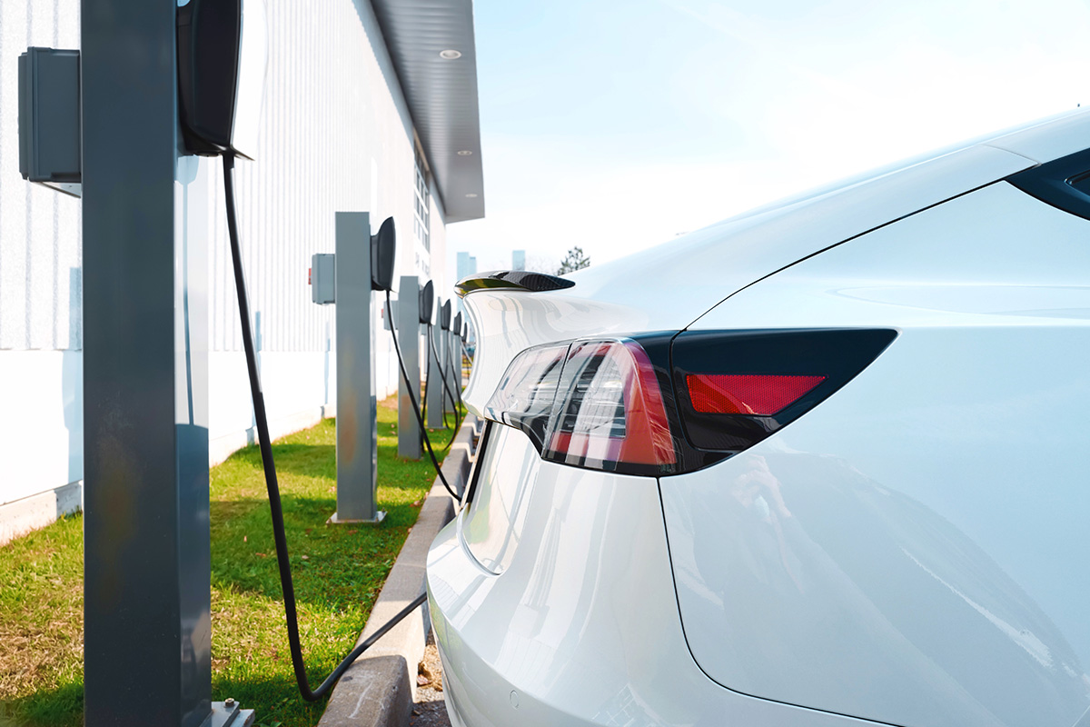 A row of Tesla electric vehicles parked and charging at Tesla Supercharger stations in a parking lot with trees and a building in the background. 