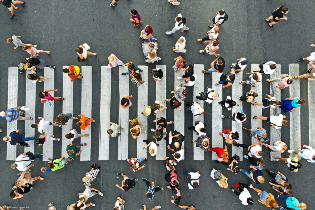 Aerial view of a large group of people walking on a zebra crossing on a city street. 
